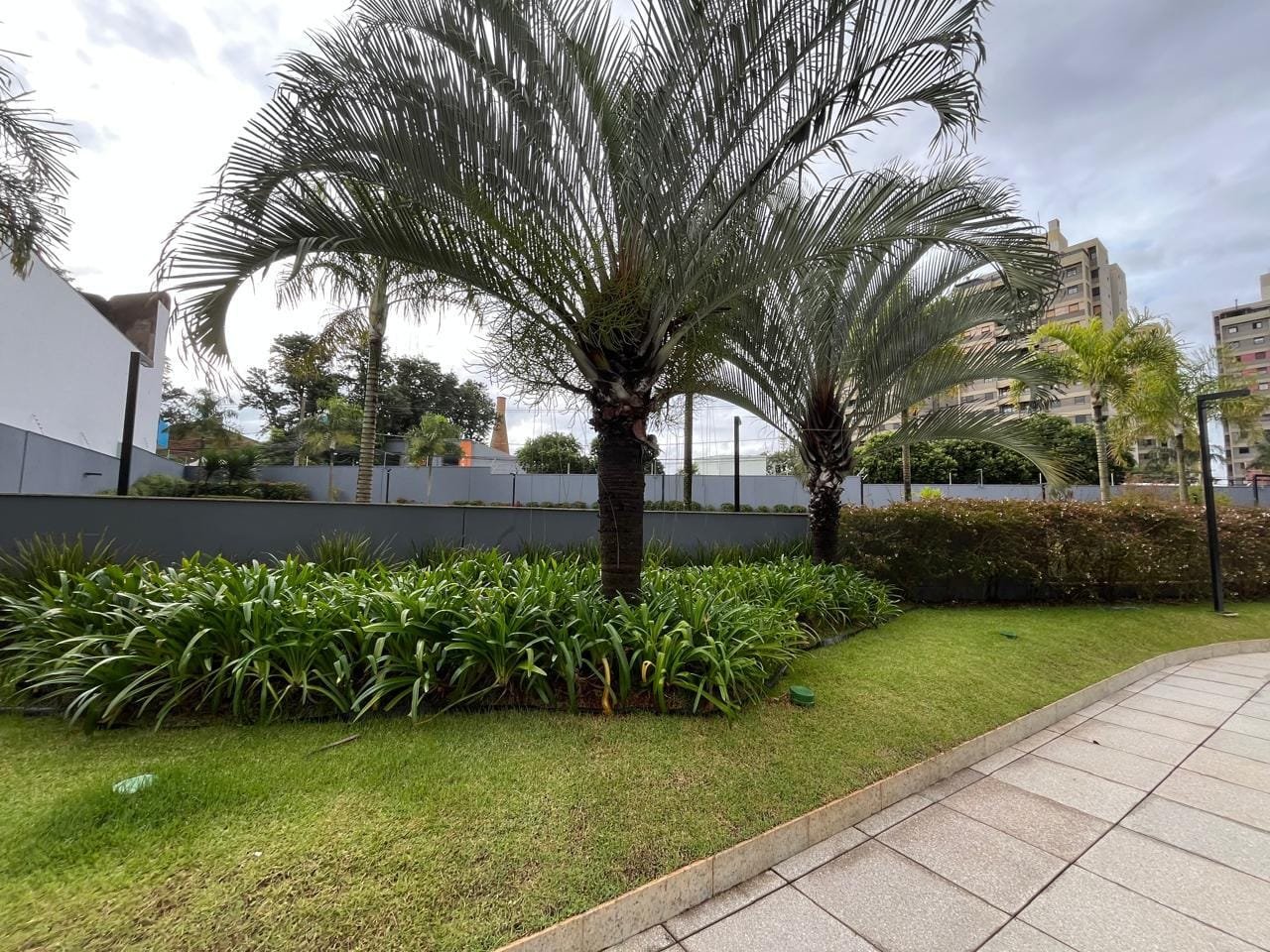 Alameda paisagística curvilínea do Sartoria Taquaral com palmeiras e jardim lateral