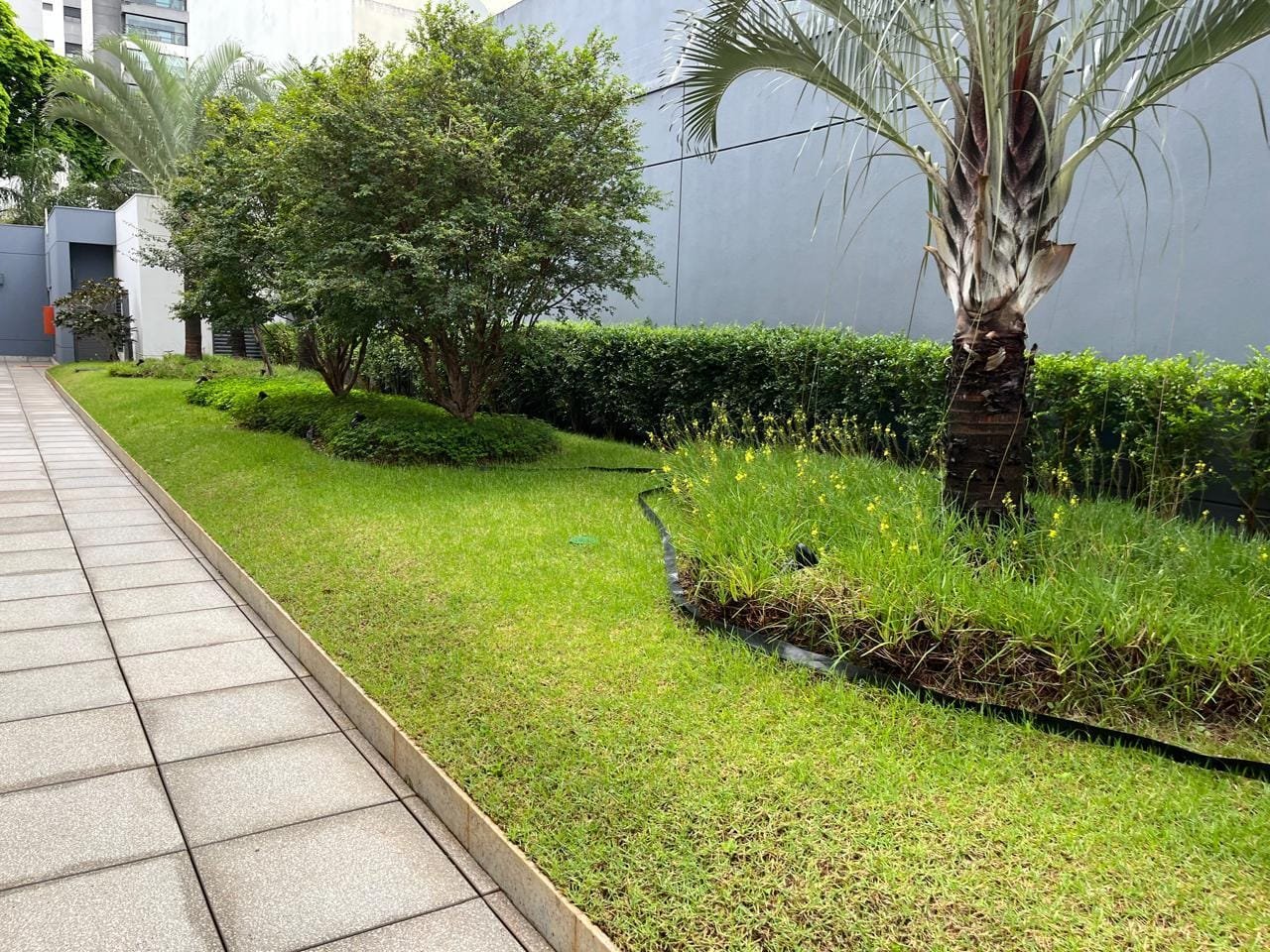 Alameda com colunas e jardim com palmeiras no Sartoria Taquaral Campinas